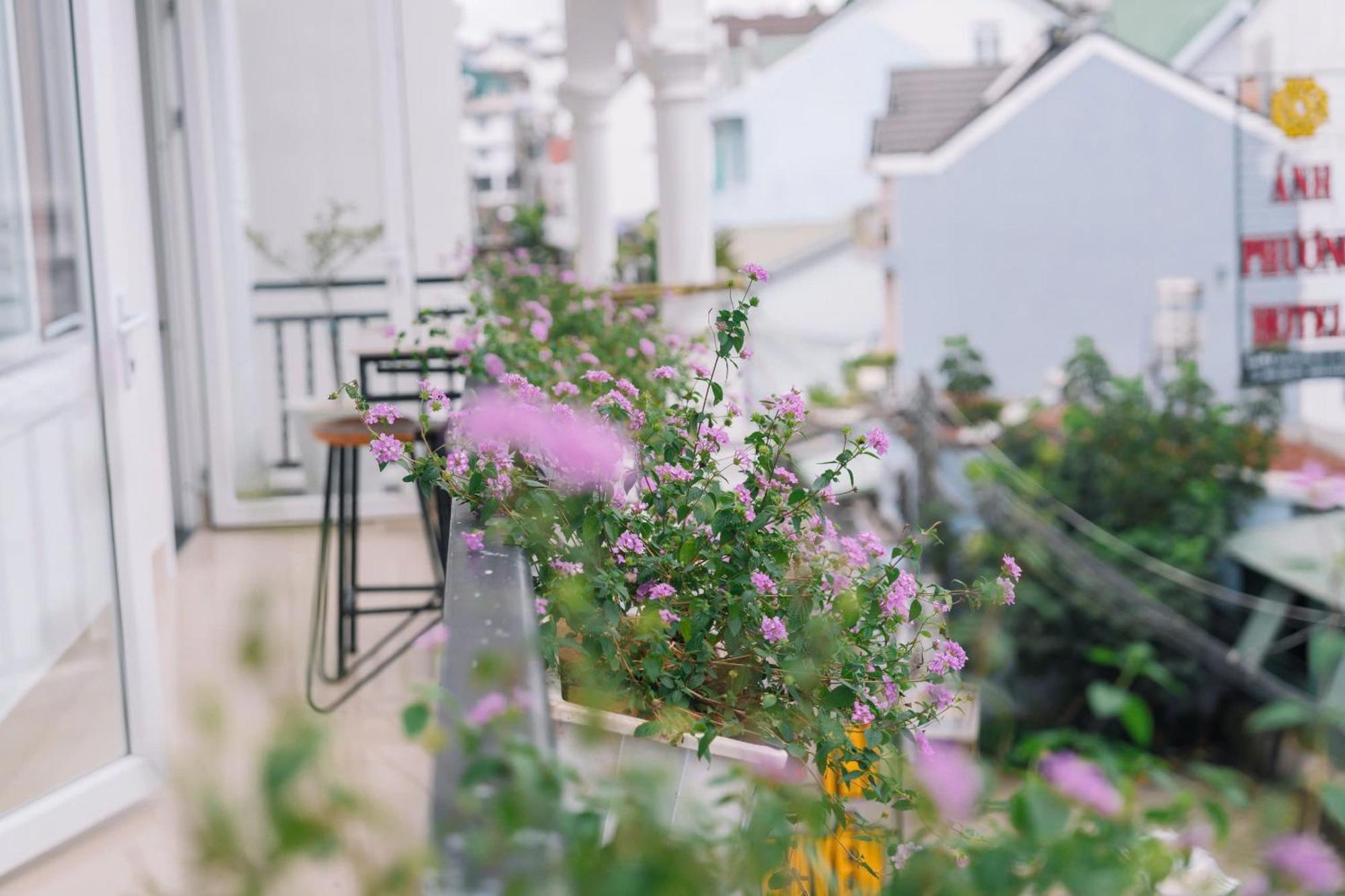 Cherry House Dalat Luaran gambar